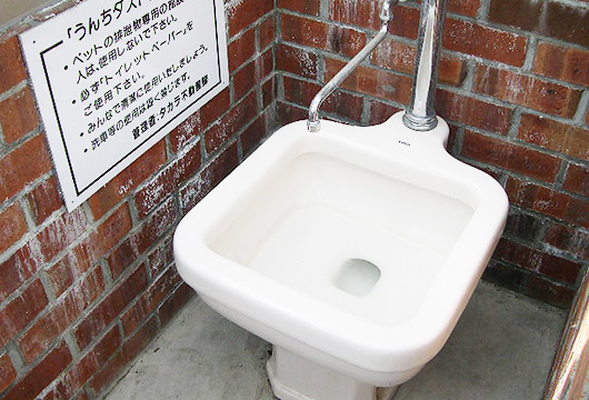 ウンチダスト