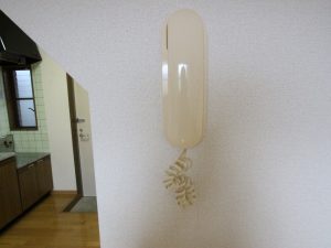 IMG_1573