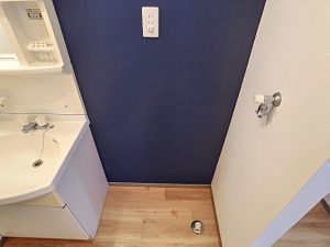 resize0165