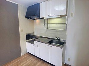 resize0180