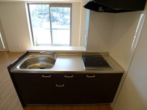 resize0460