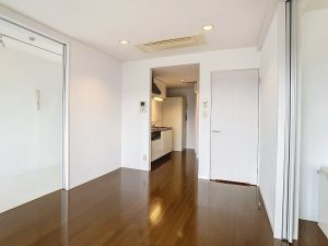 YomodaApartment201-1706942441_1706942868_42889_85c5e06