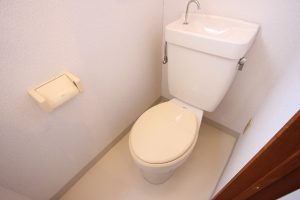 IMG_3311