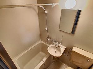 AA103-1619747952_1619748186_48199_9d96b67