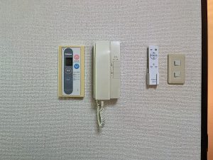 a203-1728805050_1728806298_06309_65bd8a8