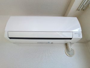 201_00006_379a8a4