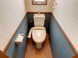 a11-1638769741_1638772279_72301_178881d