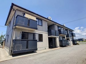 N101-1653621411_1653621499_21515_7055c4a