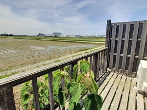 PLANETBLUE6-1590469847_1591237852_37859