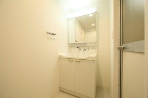 トワイライト泉が丘_０２０１_その他画像1_洗面所