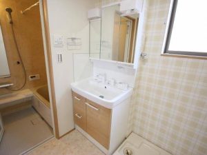 ＬＳフォレストⅢ_00A3_その他画像1_洗面所