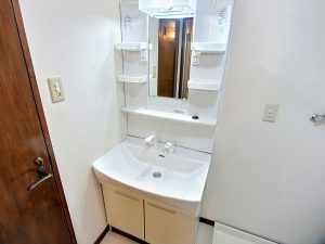 パスト泉野_０１０２_その他画像2_洗面所