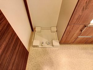 IMG_5865