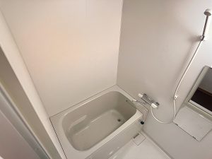 tsuki-to-ichibanboshi-301_00004