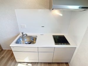 property_2c524eca-f757-4045-90c1-f6e4a92c087b_00024