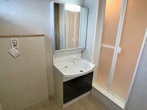 property_2c524eca-f757-4045-90c1-f6e4a92c087b_00031