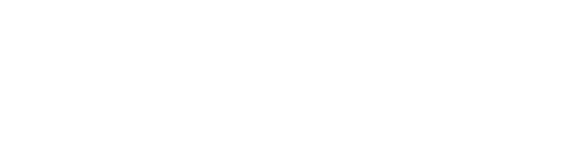 120日