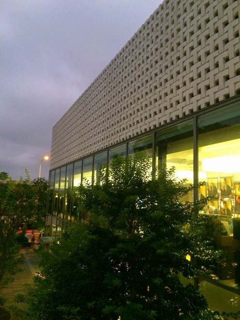 写真 1 (1)