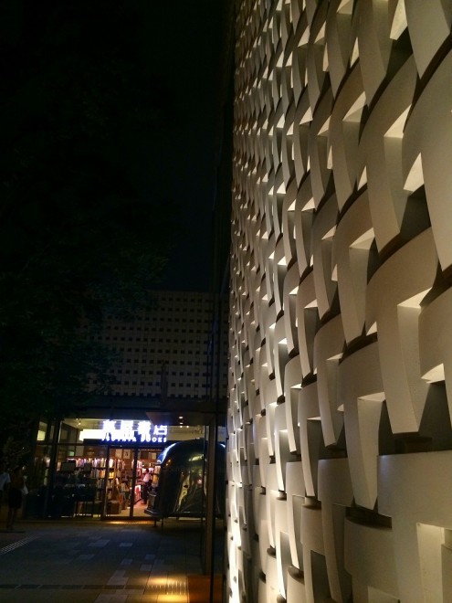 写真 2 (2)